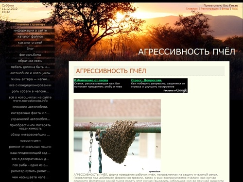 Персональный сайт - АГРЕССИВНОСТЬ ПЧЁЛ