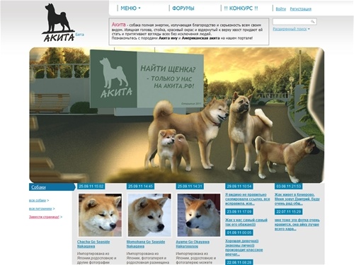 Акита.рф - портал о любимых питомцах, о породах Акита ину и Американская акита. Продажа щенков Акиты