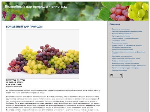 Волшебный дар природы - виноград