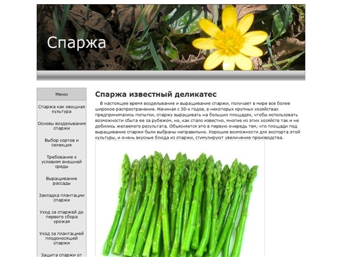 
    Спаржа  