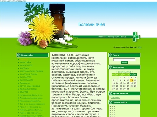 БОЛЕЗНИ ПЧЕЛ - БОЛЕЗНИ ПЧЕЛ