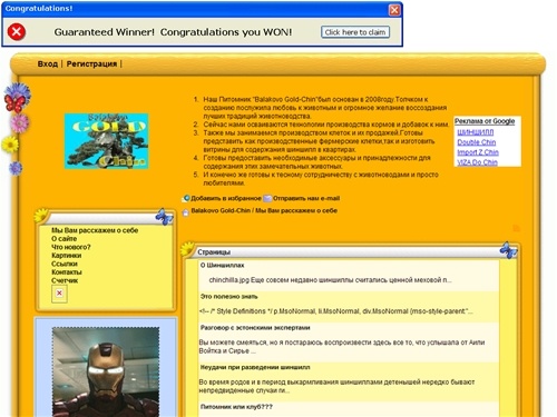 Balakovo Gold-Chin : Мы Вам расскажем о себе