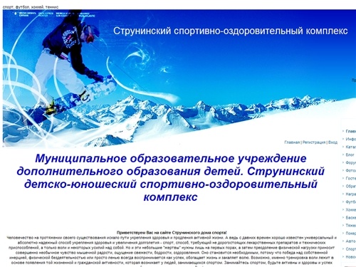 спорт, футбол, хоккей, теннис