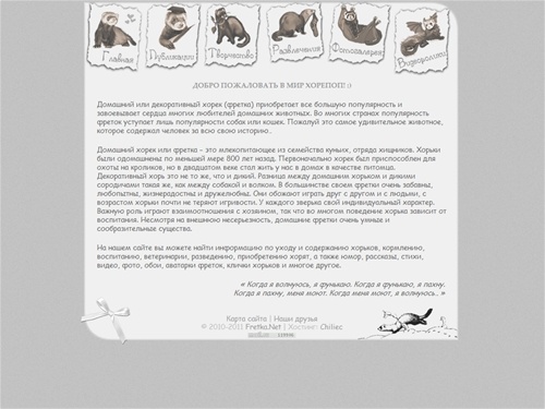 Домашний хорек (фретка)