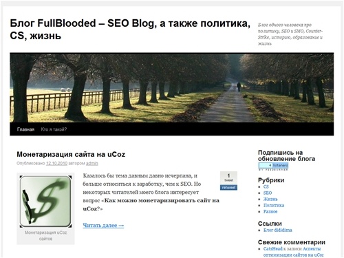 Блог FullBlooded - SEO Blog, а также политика, CS, жизнь