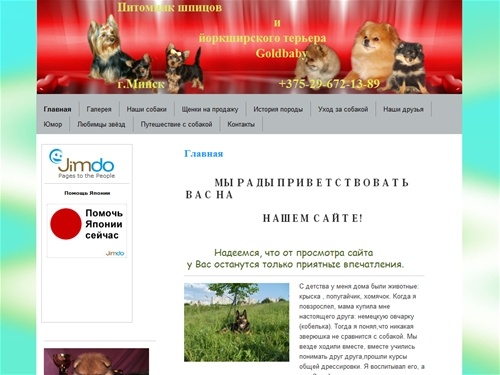 померанский шпиц. йоркширского терьер. питомник ГОЛД БЕБИ, голдбеби, gold baby.Щенки. - Питомник goldbaby.Померанский шпиц . йоркширский терьер.