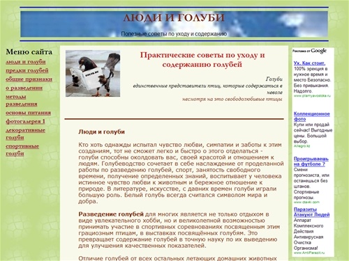 Голуби, полезные советы по разведению и содержанию, породы, картинки, фото голубей 