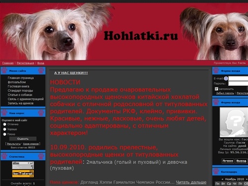 Щенки китайской хохлатой собаки