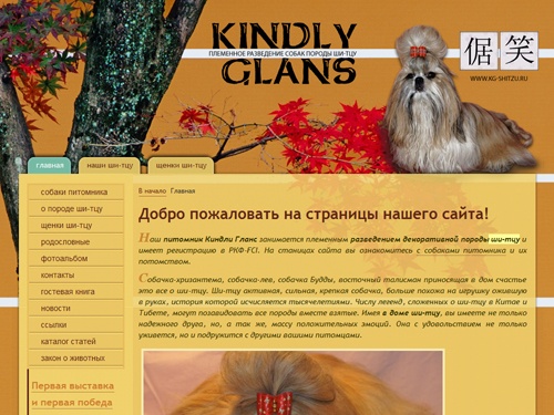 ши-тцу, ши-тцу  питомник Киндли Гланс. Племенное разведение собак породы ши-тцу