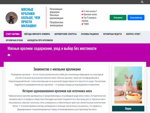 Мясные кролики: содержание, уход и выбор без жестокости