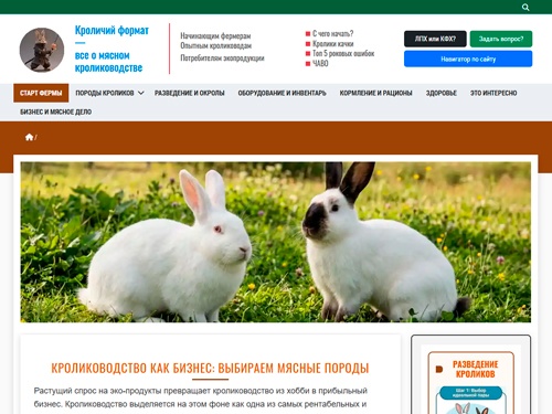 Разведение мясных кроликов как бизнес: породы, рентабельность, уход