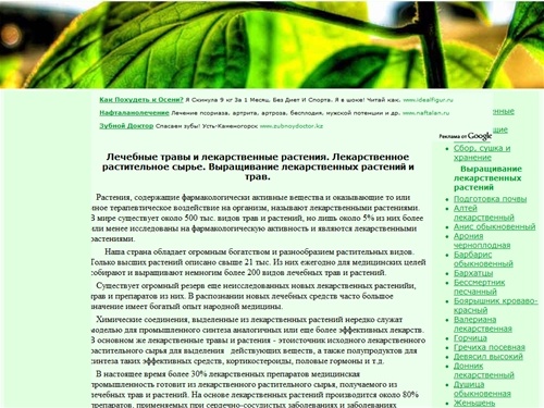   Лечебные травы и лекарственные растения.  Лекарственное растительное сырье. Выращивание лекарственных растений и трав. 