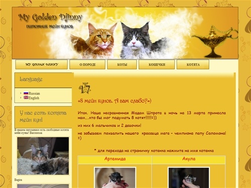 My Golden Djinny -питомник МЕЙН КУНОВ! Мейн кун- самая большая домашняя кошка в мире! Породистые котята мейн куны, разведение мейн-кунов, фотографии мейн кунов! Домашние рыси, американская енотовая кошка, кошка из штата Мэн, лесная кошка- все это названия