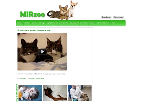Собаки и кошки, животные щенки, котята - MIRzoo - Мирзоо