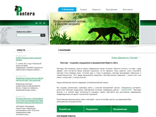 Создание сайта в Алматы, Казахстан. 