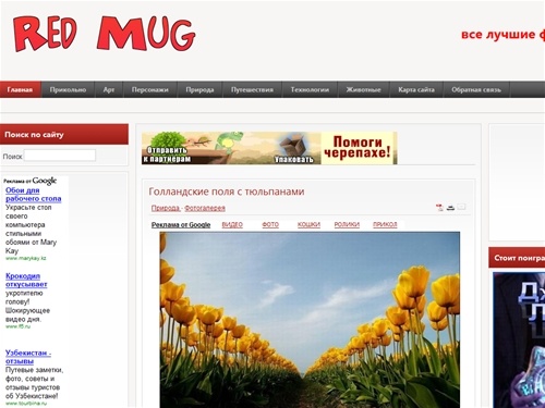 Все лучшие  фото инета