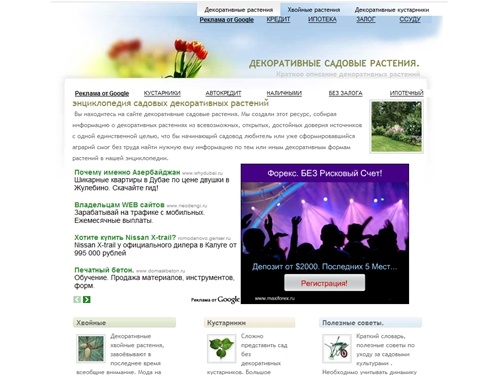 декоративные садовые растения