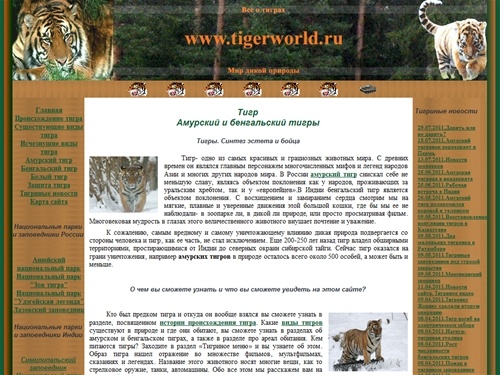 Тигр. Одно из самых красивых и величественных животных на планете 