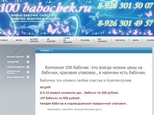 живые бабочки, салют из бабочек, бабочки в подарок - главная