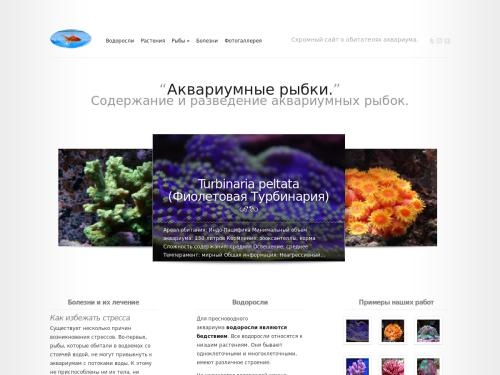 Содержание и разведение  рыбок.