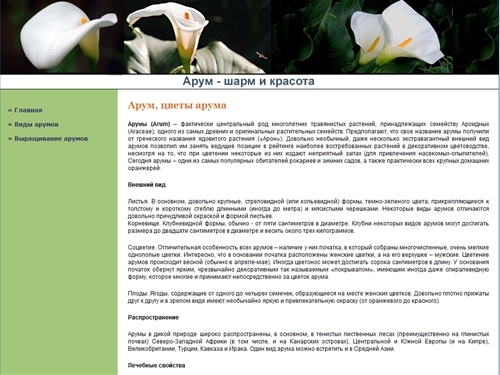 Арум, цветы арума :: Сайт о выращивании цветов арума - Arum-Info.Ru