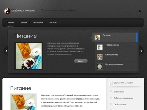 Тибетская медицина