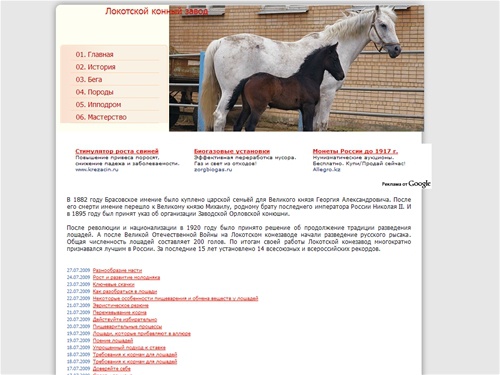 Брянские лошади