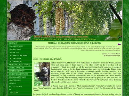 Siberian Chaga mushroom from Russia