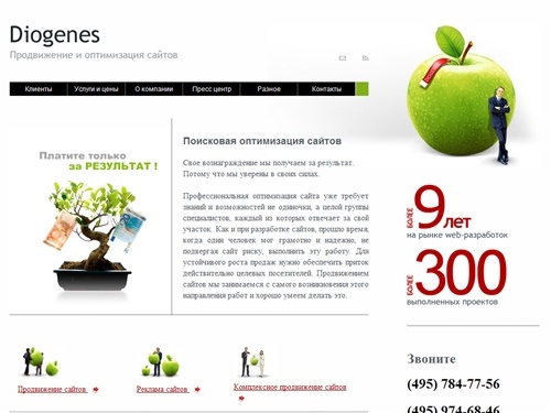 Поисковая оптимизация сайтов - Diogenes