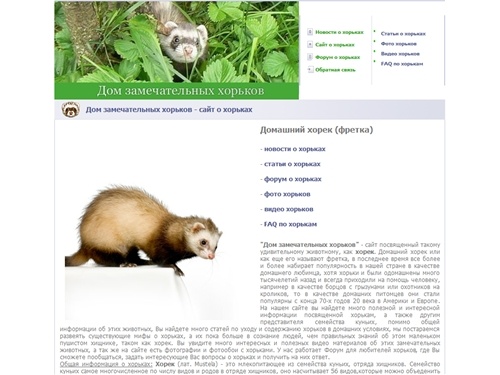 Дом замечательных хорьков - домашний хорек (фретка)