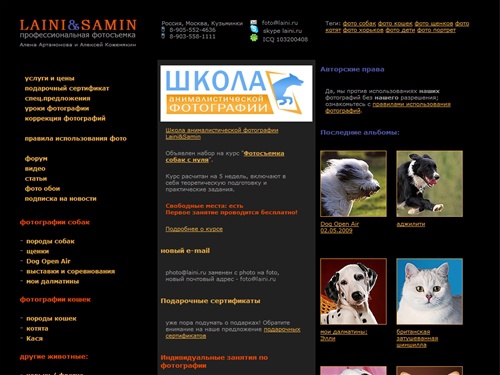 фотостудия Laini & Samin : профессиональная фотосъемка собак и кошек. Фото собак, Фото кошек