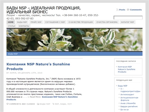 Бады NSP – идеальная продукция, идеальный бизнес