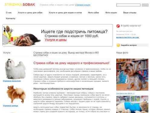 Стрижка собак и кошек на дому. Выезд мастера Москва и МО БЕСПЛАТНО!