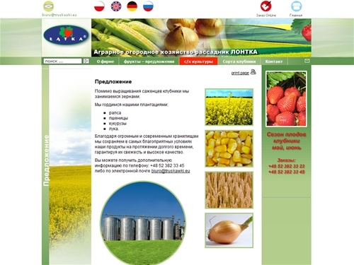 Gospodarstwo Rolno Ogrodniczo Szkółkarskie Łątka [Trusplant] truskawki 