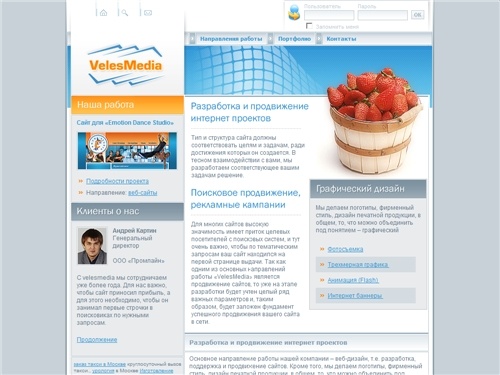 VelesMedia - разработка сайтов и продвижение в Санкт-Петербурге и Москве