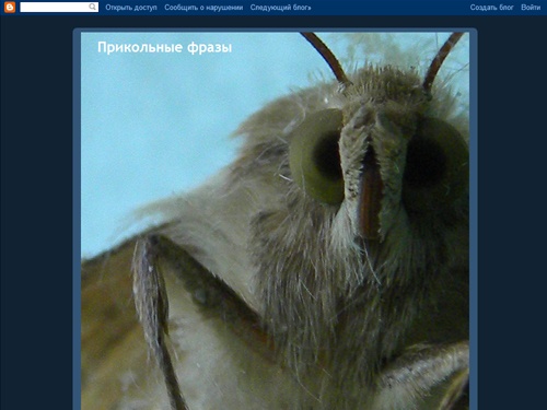 Прикольные фразы